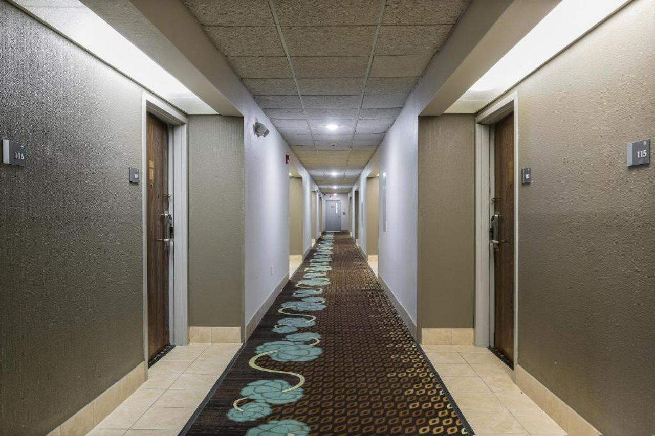 Bliss Point Inn & Suites New Buffalo Exterior photo